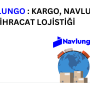 Navlungo ile kargo, navlun ve e-ihracat lojistiğini temsil eden görsel